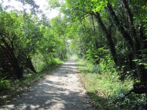 IMG_0246.JPG